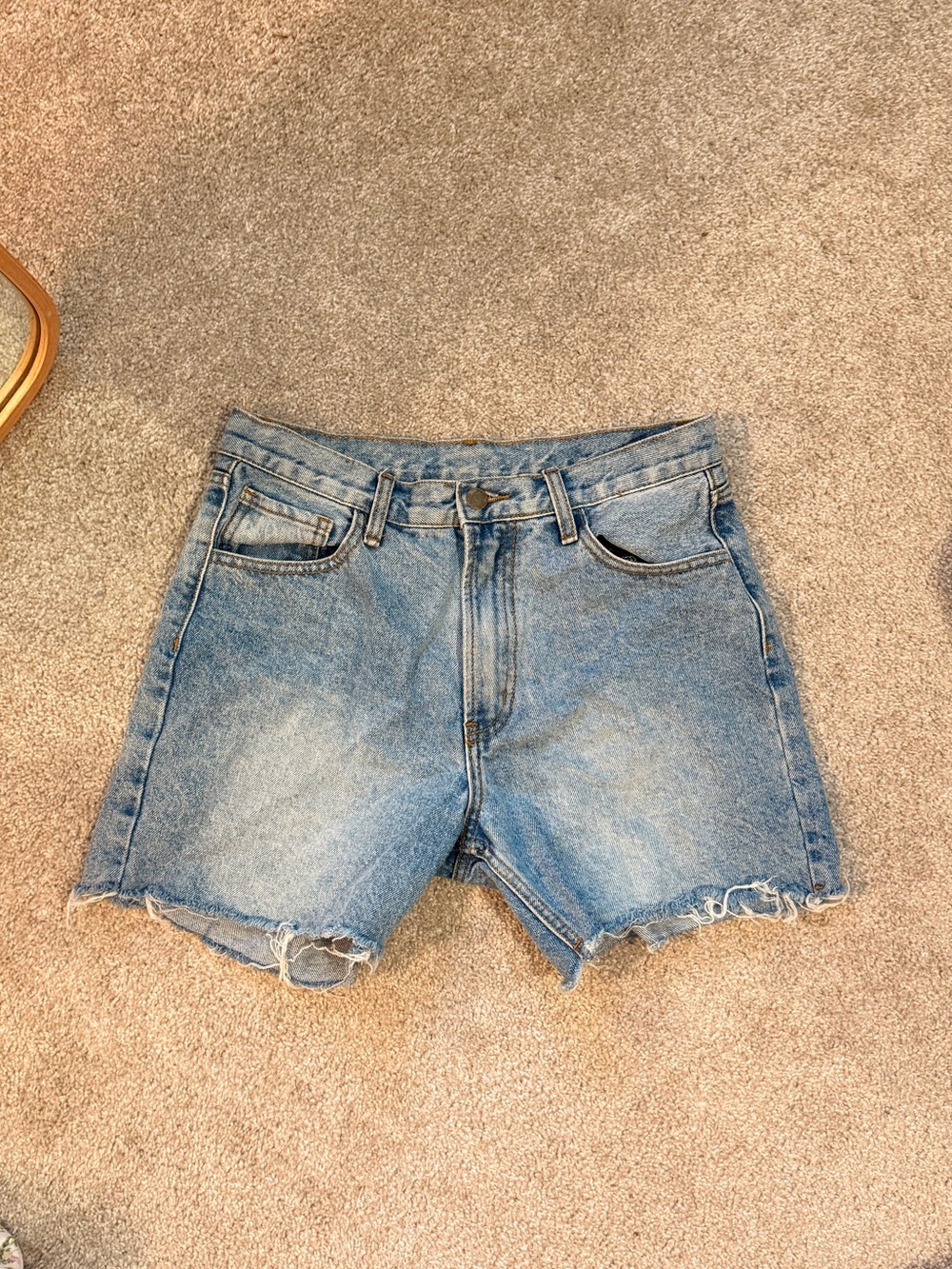 Brandy Melville Light Blue Denim Jean Shorts